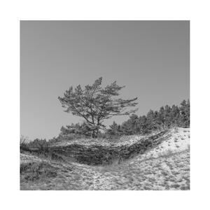 六十路初撮り完熟在线播放
